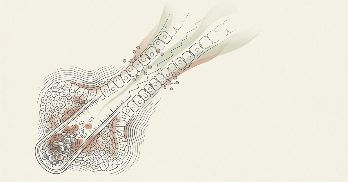 Abstract cream-and-slate line illustration on Kokorology paper, drawn for Inflammation Care — hs-CRP Tracked, Coached Monthly